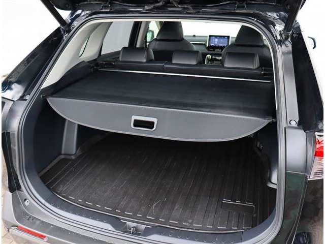 トヨタ ＲＡＶ４ ２．０ Ｇ Ｚパッケージ ４ＷＤ R1年 (関東) 99