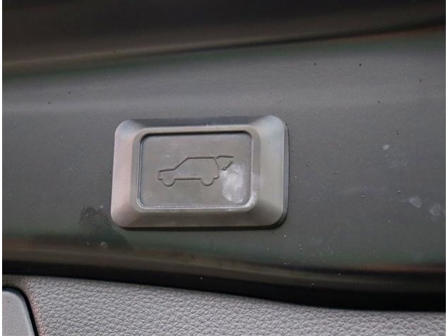 トヨタ ＲＡＶ４ ２．０ Ｇ Ｚパッケージ ４ＷＤ R1年 (関東) 99