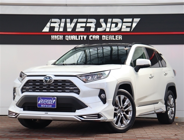 トヨタ ＲＡＶ４ ２．０ Ｇ Ｚパッケージ ４ＷＤ R3年 (関東) 99