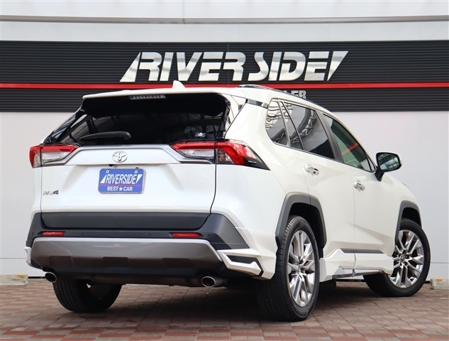 トヨタ ＲＡＶ４ ２．０ Ｇ Ｚパッケージ ４ＷＤ R3年 (関東) 99