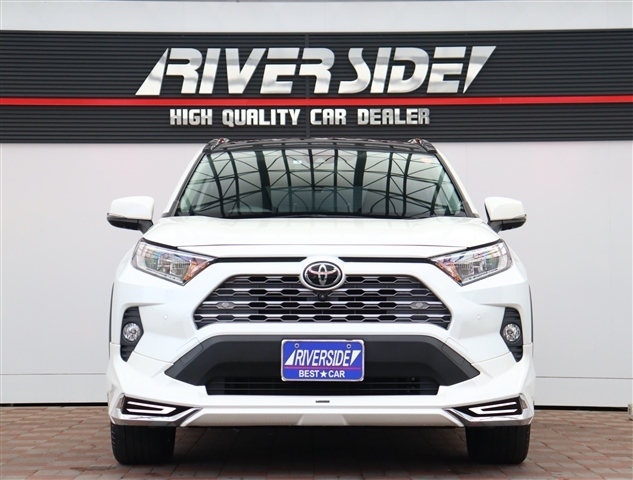 トヨタ ＲＡＶ４ ２．０ Ｇ Ｚパッケージ ４ＷＤ R3年 (関東) 99