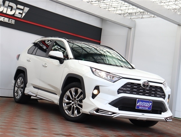 トヨタ ＲＡＶ４ ２．０ Ｇ Ｚパッケージ ４ＷＤ R3年 (関東) 99