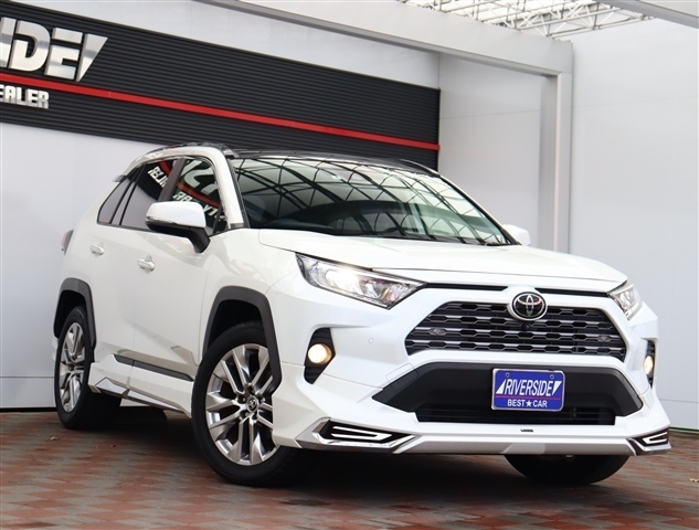 トヨタ ＲＡＶ４ ２．０ Ｇ Ｚパッケージ ４ＷＤ R3年 (関東) 99