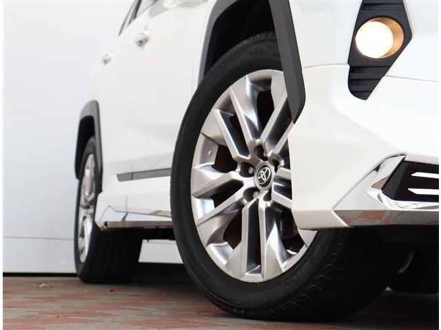 トヨタ ＲＡＶ４ ２．０ Ｇ Ｚパッケージ ４ＷＤ R3年 (関東) 99