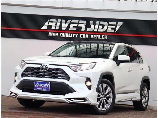 トヨタ ＲＡＶ４ ２．０ Ｇ Ｚパッケージ ４ＷＤ R3年 (関東) 99