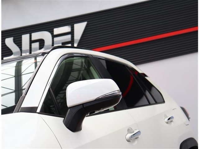 トヨタ ＲＡＶ４ ２．０ Ｇ Ｚパッケージ ４ＷＤ R3年 (関東) 99