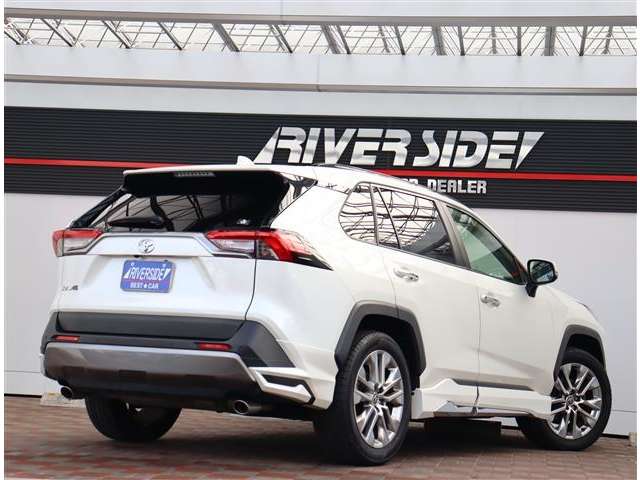 トヨタ ＲＡＶ４ ２．０ Ｇ Ｚパッケージ ４ＷＤ R3年 (関東) 99