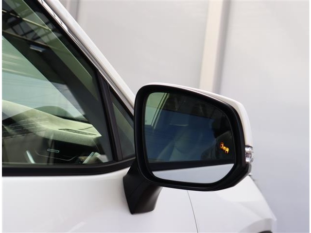 トヨタ ＲＡＶ４ ２．０ Ｇ Ｚパッケージ ４ＷＤ R3年 (関東) 99