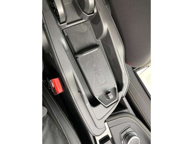 ＢＭＷ Ｘ２ Ｘドライブ２０Ｄ ＭスポーツＸ ディーゼルターボ ４ＷＤ R5年 (近畿) 99