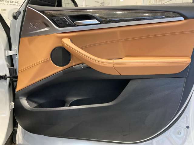 ＢＭＷ Ｘ３ Ｘドライブ２０Ｄ Ｘライン ディーゼルターボ ４ＷＤ R1年 (近畿) 99