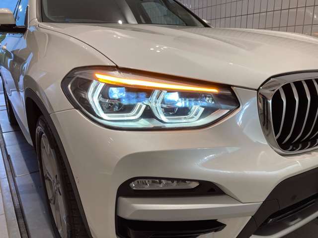 ＢＭＷ Ｘ３ Ｘドライブ２０Ｄ Ｘライン ディーゼルターボ ４ＷＤ R1年 (近畿) 99