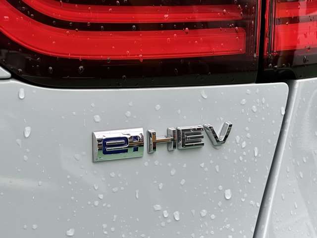 ホンダ フィット　ハイブリッド １．５ Ｅ：ＨＥＶ ホーム R5年 (東海) 99