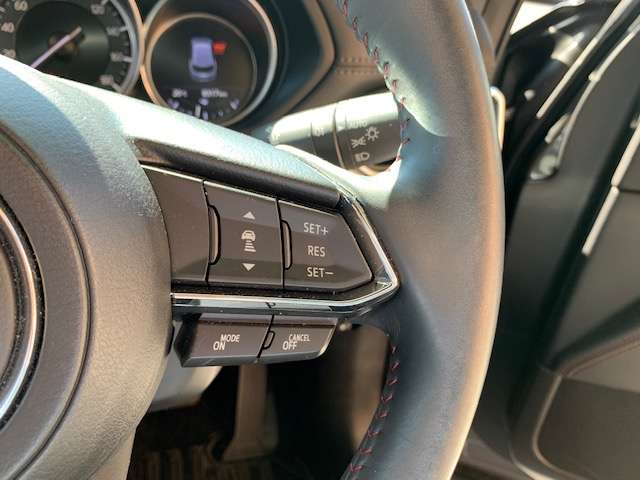 マツダ ＣＸ−８ ２．５ ２５Ｓ ブラックトーン エディション ４ＷＤ R4年 (東北) 99