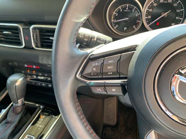 マツダ ＣＸ−８ ２．５ ２５Ｓ ブラックトーン エディション ４ＷＤ R4年 (東北) 99