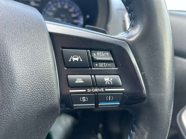 スバル レヴォーグ １．６ ＧＴ－Ｓ アイサイト ４ＷＤ H26年 (北海道) 99