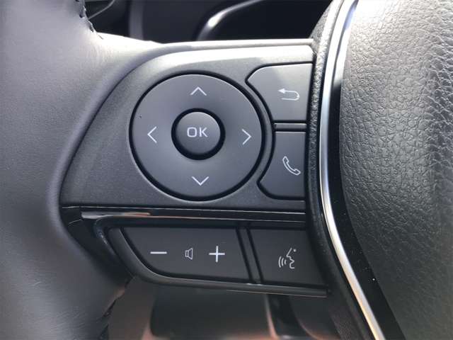 トヨタ ハリアー ２．０ Ｇ R5年 (近畿) 99