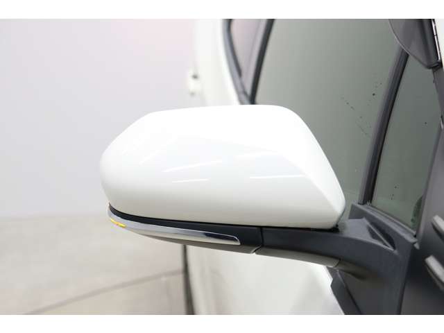 トヨタ プリウス １．８ Ｓ ツーリングセレクション R1年 (東海) 99