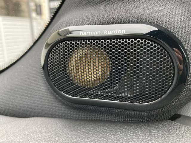 ミニ ミニ ジョン・クーパー・ワークス ３ドア R5年 (近畿) 99