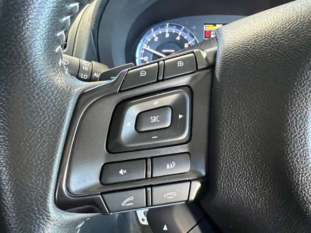 スバル レヴォーグ １．６ ＧＴ アイサイト スマート エディション ４ＷＤ H28年 (東北) 99