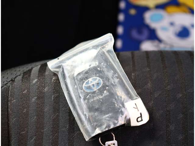 トヨタ プリウス １．８ Ａ H29年 (関東) 99