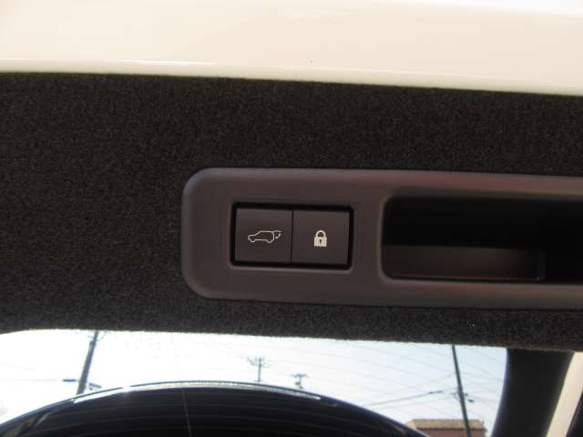 レクサス ＲＸ４５０ｈ ４５０Ｈ Ｆスポーツ ４ＷＤ R3年 (関東) 99