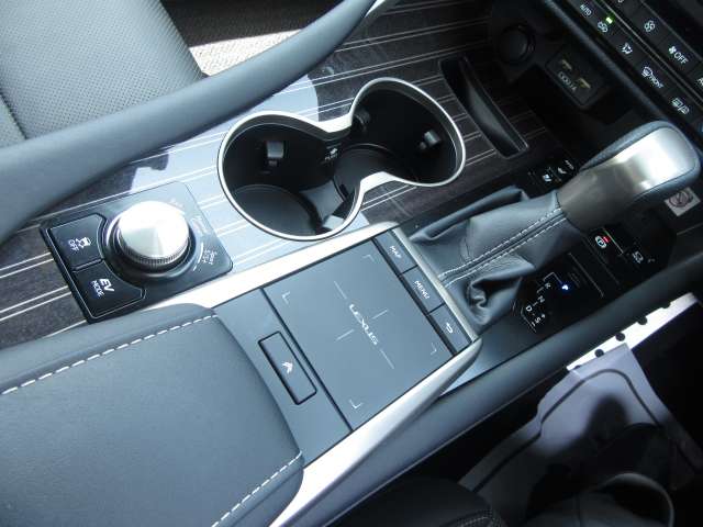 レクサス ＲＸ４５０ｈ ４５０Ｈ Ｆスポーツ ４ＷＤ R3年 (関東) 99