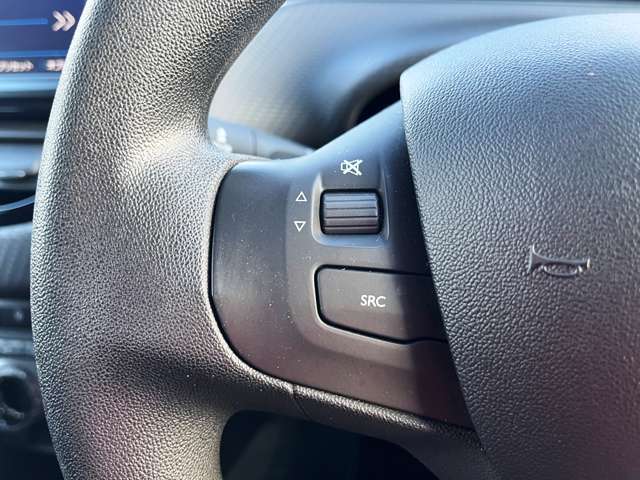 プジョー ２０８ ファーストセレクション H29年 (東北) 99