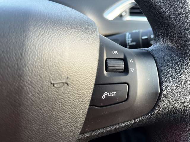 プジョー ２０８ ファーストセレクション H29年 (東北) 99