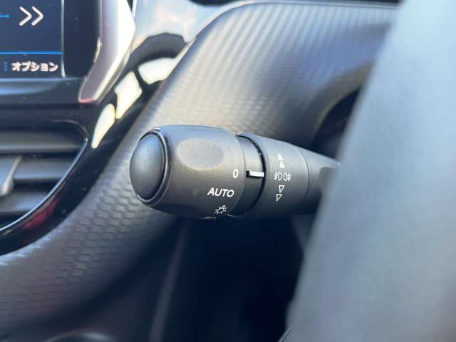 プジョー ２０８ ファーストセレクション H29年 (東北) 99