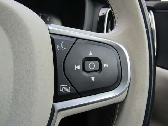 ボルボ Ｓ６０ Ｔ４　モメンタム R2年 (関東) 99