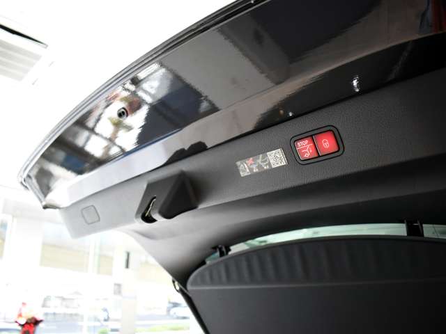 メルセデスベンツ ＥＱＳ ４５０プラス ＡＭＧラインパッケージ ＭＰ２０２３０１ R5年 (関東) 99