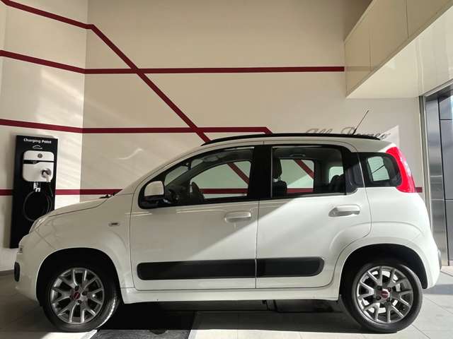 フィアット パンダ イージー H30年 (東北) 99