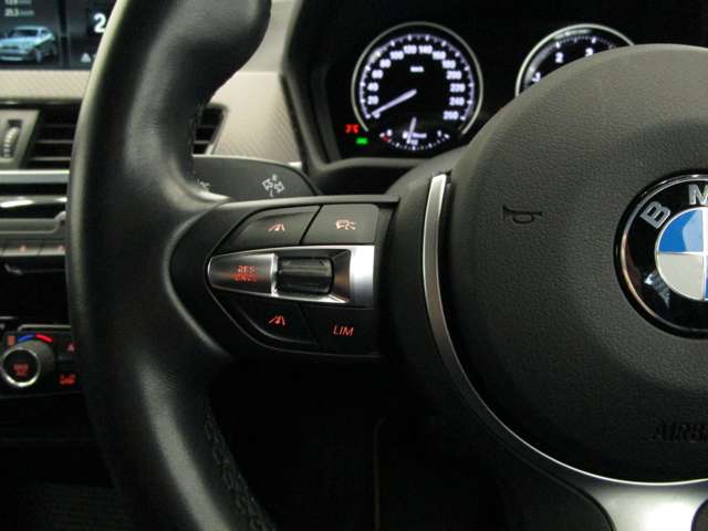 ＢＭＷ Ｘ２ Ｘドライブ１８Ｄ ＭスポーツＸ ディーゼルターボ ４ＷＤ R1年 (近畿) 99