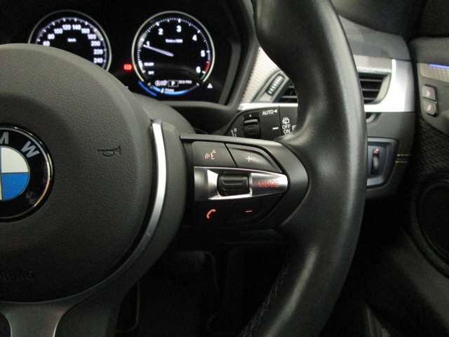 ＢＭＷ Ｘ２ Ｘドライブ１８Ｄ ＭスポーツＸ ディーゼルターボ ４ＷＤ R1年 (近畿) 99