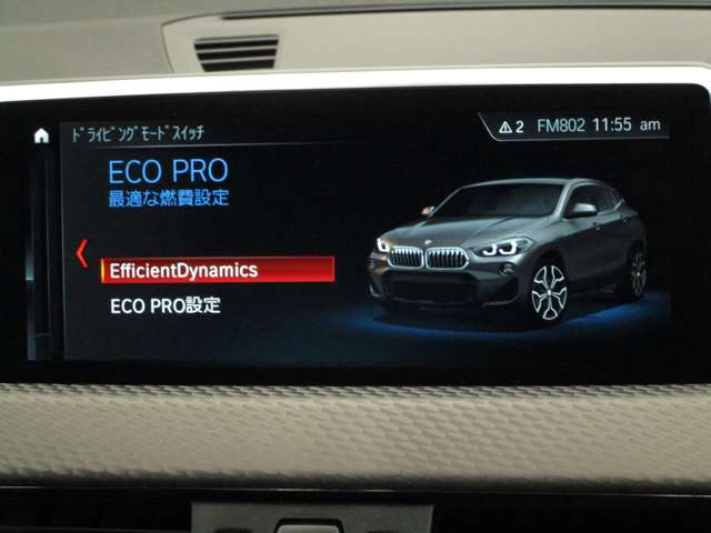 ＢＭＷ Ｘ２ Ｘドライブ１８Ｄ ＭスポーツＸ ディーゼルターボ ４ＷＤ R1年 (近畿) 99