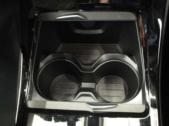 ＢＭＷ Ｘ２ Ｘドライブ１８Ｄ ＭスポーツＸ ディーゼルターボ ４ＷＤ R1年 (近畿) 99