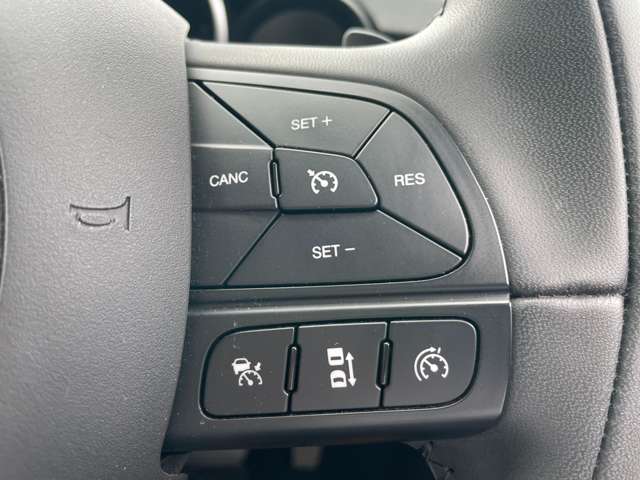 フィアット ５００Ｘ セーフティパッケージ H29年 (東北) 99