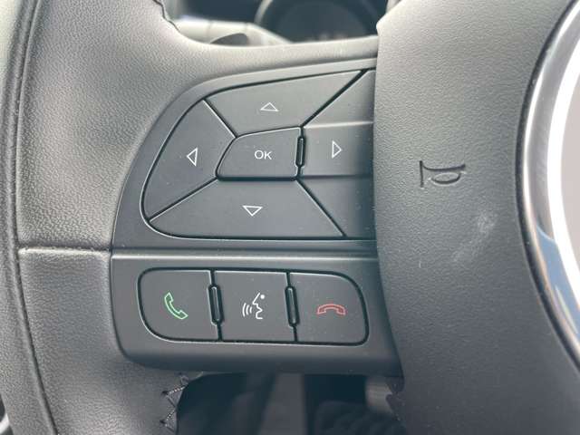 フィアット ５００Ｘ セーフティパッケージ H29年 (東北) 99