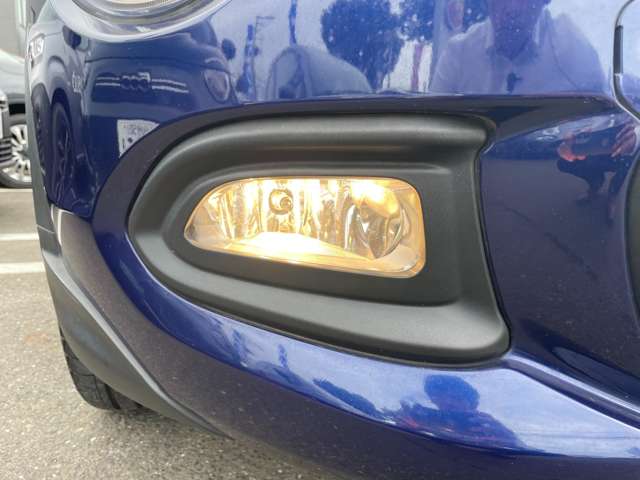 フィアット ５００Ｘ セーフティパッケージ H29年 (東北) 99