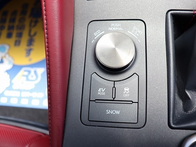 レクサス ＲＣ３００ｈ Ｆスポーツ H27年 (関東) 99