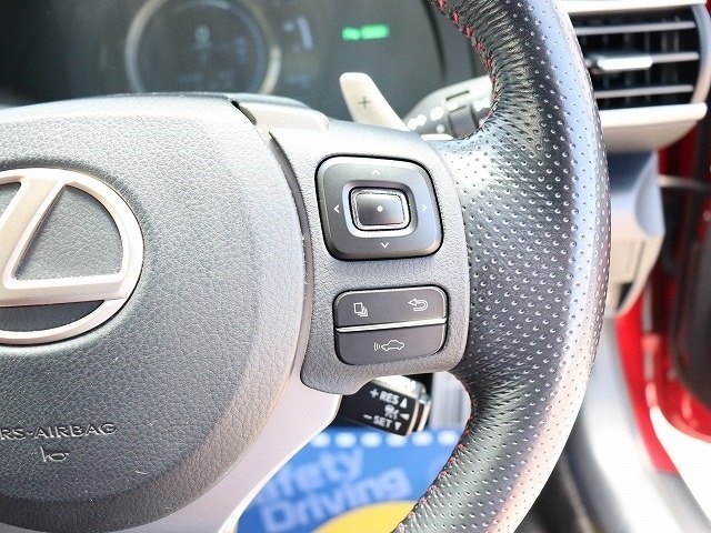 レクサス ＲＣ３００ｈ Ｆスポーツ H27年 (関東) 99