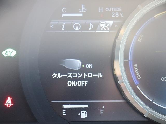 レクサス ＲＣ３００ｈ Ｆスポーツ H27年 (関東) 99