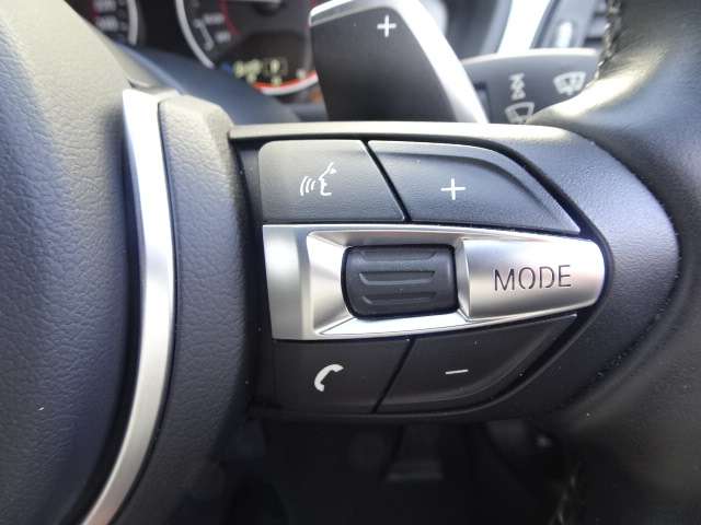 ＢＭＷ ３シリーズ ３２０ｉ　Ｍスポーツ H26年 (近畿) 99