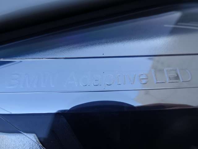 ＢＭＷ Ｘ４ Ｘドライブ２８Ｉ Ｍスポーツ ４ＷＤ H29年 (近畿) 99