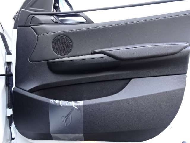 ＢＭＷ Ｘ４ Ｘドライブ２８Ｉ Ｍスポーツ ４ＷＤ H29年 (近畿) 99