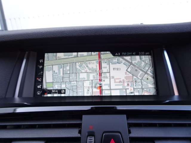 ＢＭＷ Ｘ４ Ｘドライブ２８Ｉ Ｍスポーツ ４ＷＤ H29年 (近畿) 99