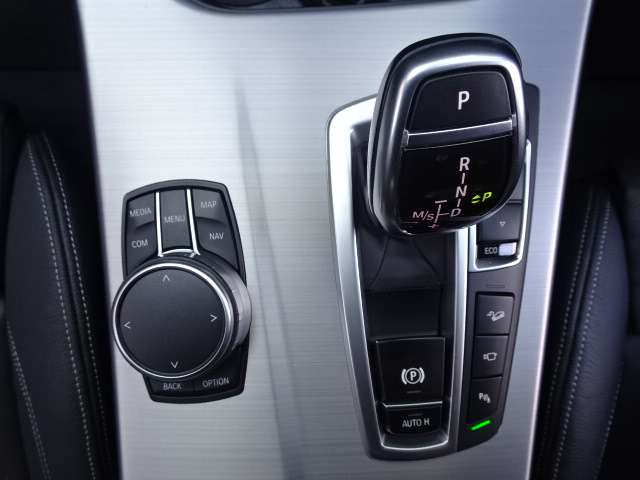 ＢＭＷ Ｘ４ Ｘドライブ２８Ｉ Ｍスポーツ ４ＷＤ H29年 (近畿) 99