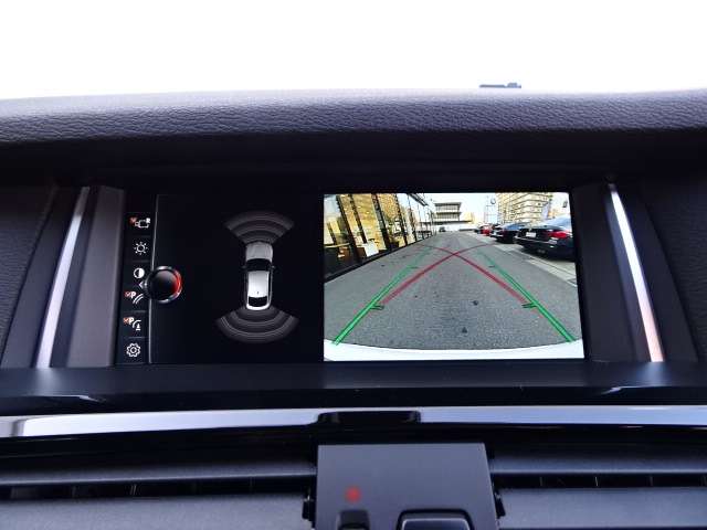 ＢＭＷ Ｘ４ Ｘドライブ２８Ｉ Ｍスポーツ ４ＷＤ H29年 (近畿) 99