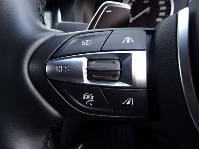 ＢＭＷ Ｘ４ Ｘドライブ２８Ｉ Ｍスポーツ ４ＷＤ H29年 (近畿) 99