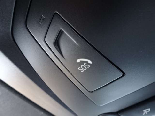 ＢＭＷ Ｘ４ Ｘドライブ２８Ｉ Ｍスポーツ ４ＷＤ H29年 (近畿) 99